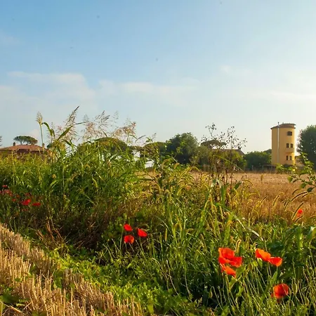 Il Silos Maccarese