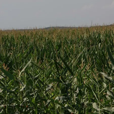 Il Silos Couette-café