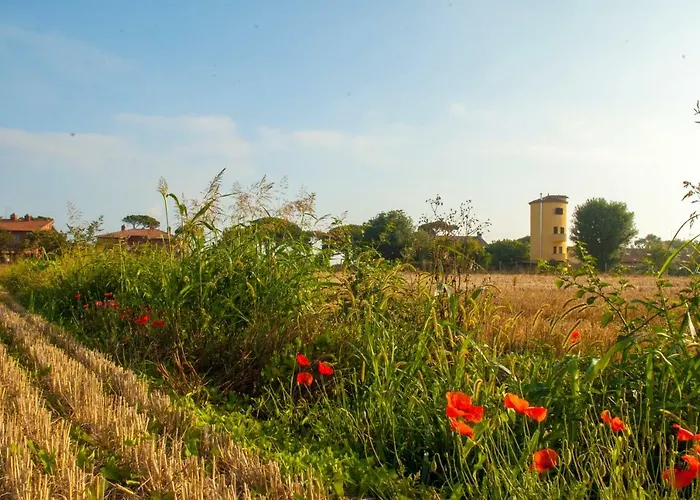 Il Silos Maccarese