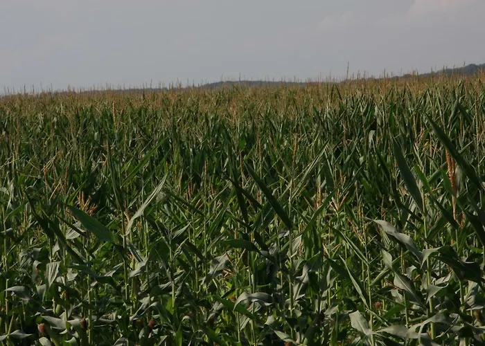 Il Silos Bed & Breakfast