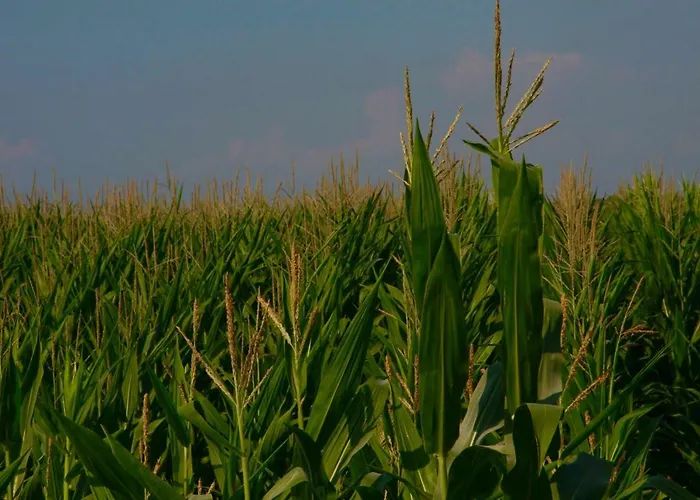 Il Silos Bed & Breakfast 4*