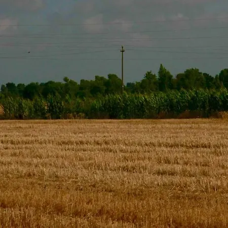 Il Silos